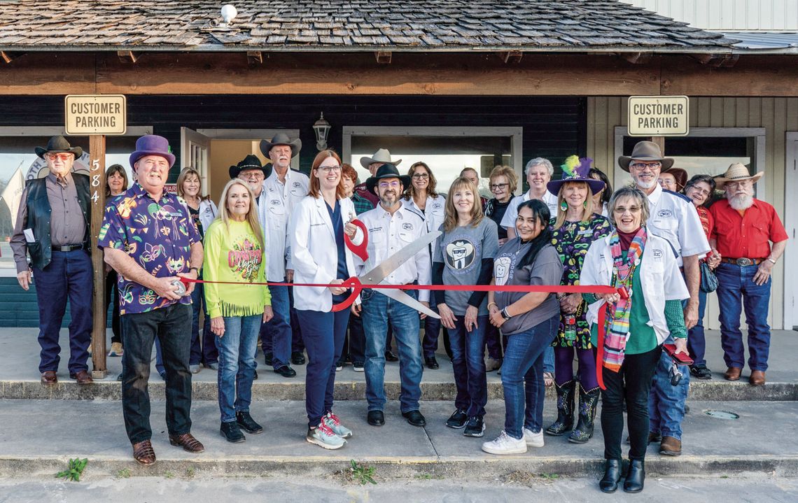 TOOTH SCOOTIN’ BOOGIE CUTS RIBBON 